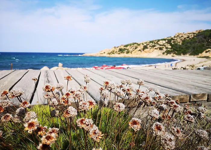 酒店 Club Esse Gallura 阿列恩图